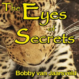 The Eyes of Secrets by Bobby Van Jaarsveld