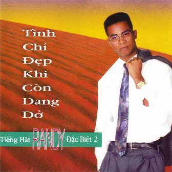 Tiếng hát Randy đặc biệt 2 (Tình chỉ đẹp khi còn dang dở) by Randy