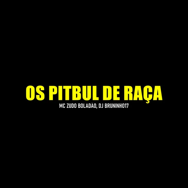 Os Pitbul de Raça