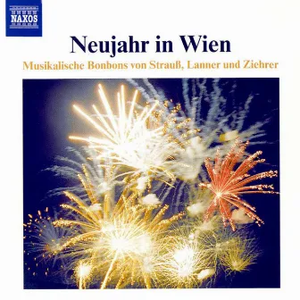 Neujahr in Wien by Gerhard Track