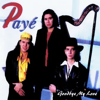 Goodbye My Love (Digitally Remastered) by Paye