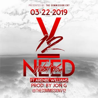 What You Need by King V12