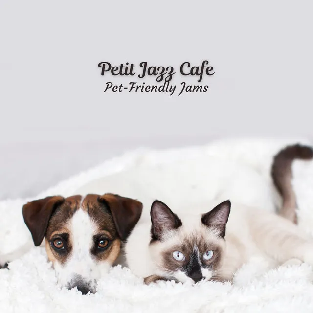 Mellow Jazz Pet Party