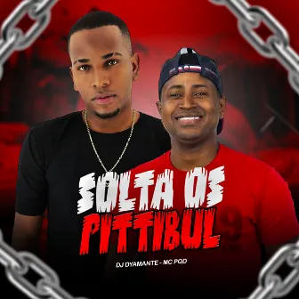 Solta os Pitbul by MC PQD