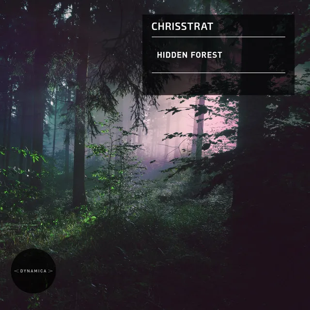 Hidden Forest (Original Mix)