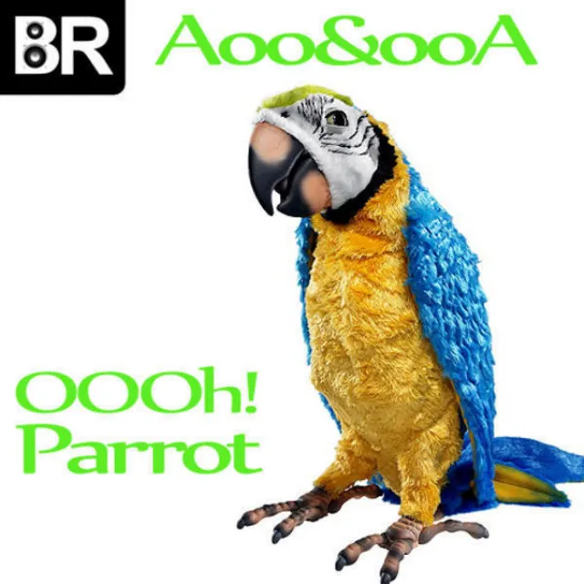 Oooh! Parrot