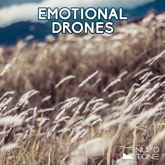 Emotional Drones by Leo Lang