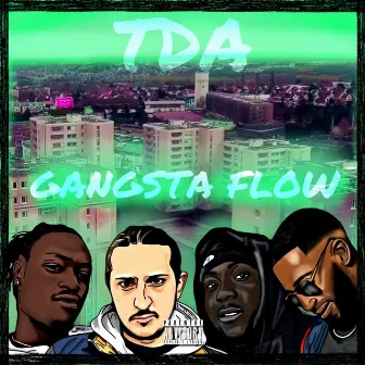 Gangsta flow by TDA