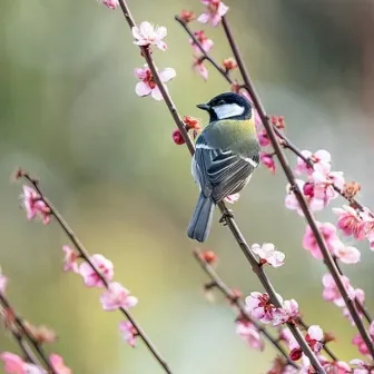 安らぎの時間 (5) by 奈木大輔