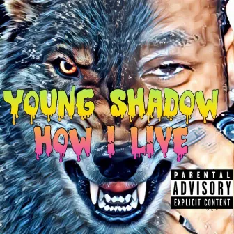 How I Live by YOUNG SHADOW