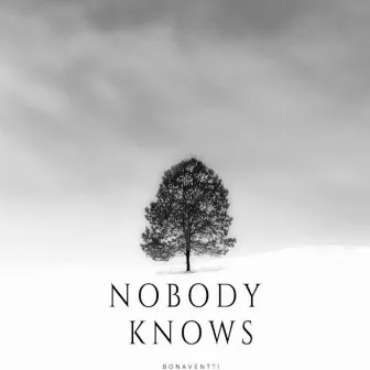 Nobody Knows by Bonaventti