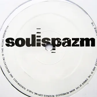 One Dub Plate At A Time - A History of Soulspazm by DJ Revolution