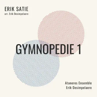 Gymnopédie 1 (Arr. E. Desimpelaere) by Ataneres Ensemble