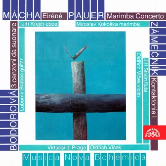 Mácha, Pauer, Bodorová and Zámečník: Chamber Works for Strings by Jiří Krejčí