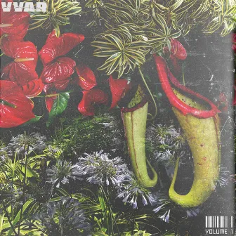 Paradise Volume 1 by VVAR