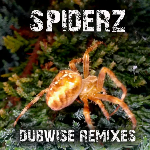 Dubwise - Spiros Maus Remix