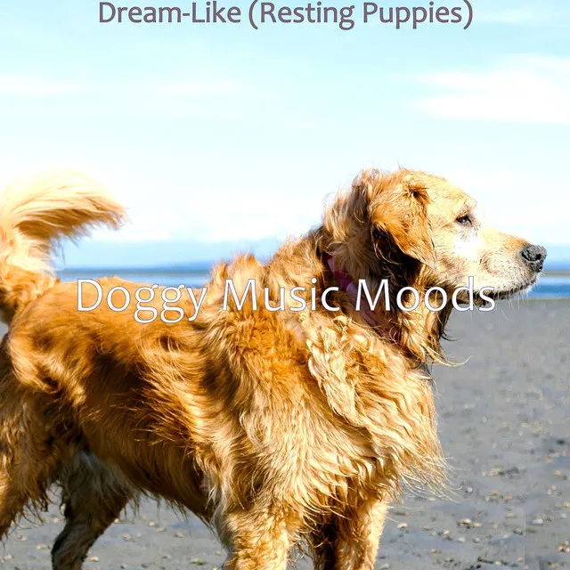 Dream-Like (Resting Puppies)