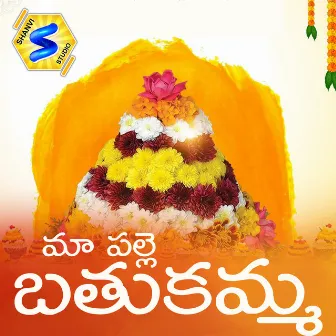 MAA PALLE BATHUKAMMA by Shanker babu