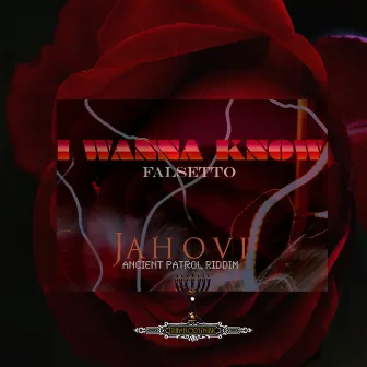 I Wanna Know by Jahovi