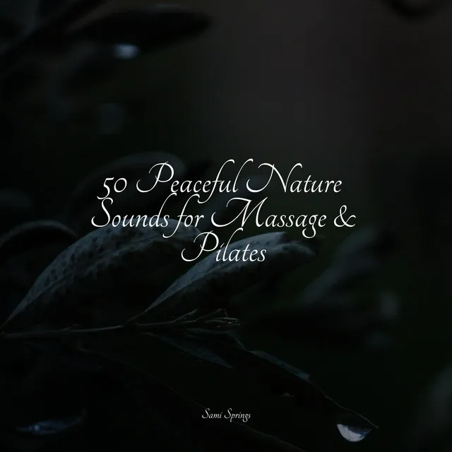 50 Peaceful Nature Sounds for Massage & Pilates