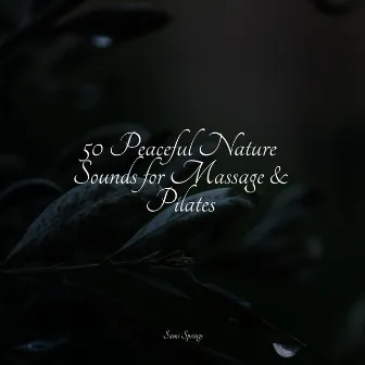 50 Peaceful Nature Sounds for Massage & Pilates by Sea Waves Sounds