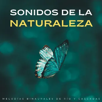 Sonidos De La Naturaleza: Melodías Binaurales De Río Y Cascadas by Relájate