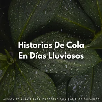 Historias De Cola En Días Lluviosos: Música Relajante Para Mascotas Con Ambiente Oceánico by Naturaleza y Lluvia