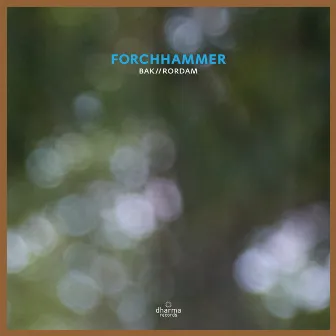 Forchhammer by BAK//RORDAM