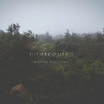 Homecoming by Daniel Williams