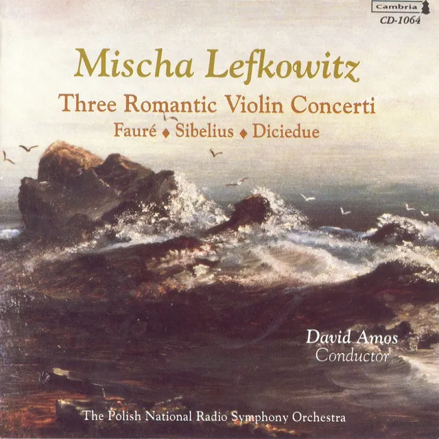 Violin Concerto in D Minor, Op. 14: I. Allegro