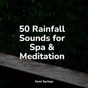 50 Rainfall Sounds for Spa & Meditation by Mother Earth Sounds