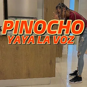 Pinocho (original) by Yaya La Voz