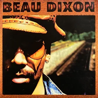 Detroit Folk by Beau Dixon