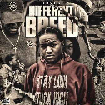 DIFFERENT BREED by Unknown Artist