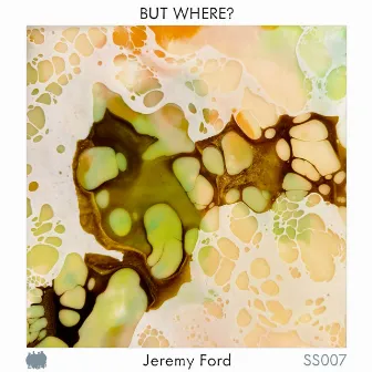 But Where? by Jeremy Ford