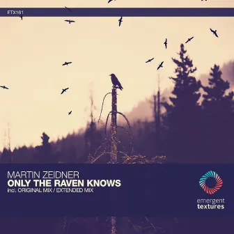 Only the Raven Knows by Martin Zeidner