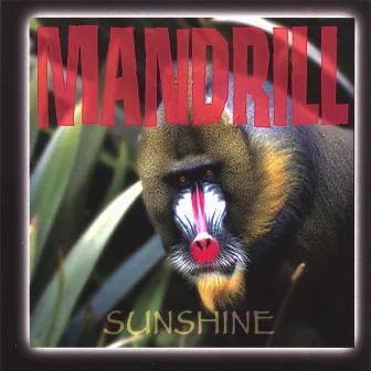 Sunshine by Mandrill