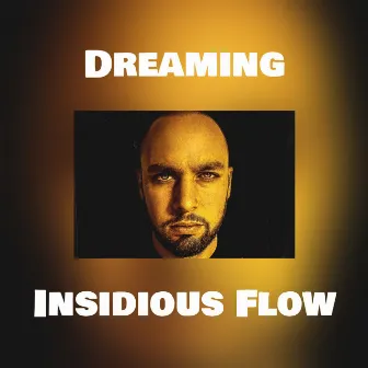 Dreaming by Insidious Flow