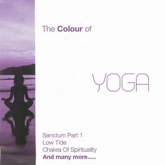 The Colour of Yoga, Vol. 2 by Ravi Chawla