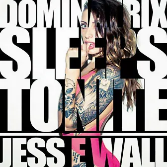 The Dominatrix Sleeps Tonight by Jess E Wall