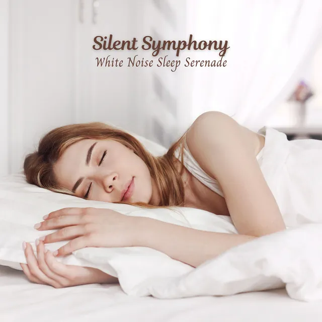 Silent Symphony: White Noise Sleep Serenade