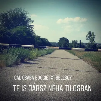 Te is jársz néha tilosban by Gál Csaba Boogie