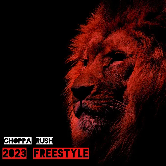 2023 Freestyle