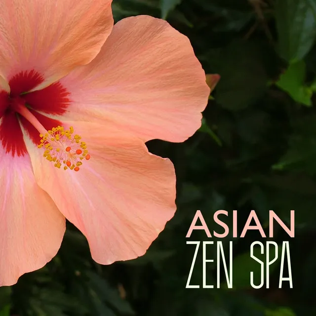 Asian Zen Spa - Massage Music Top 30 Tracks