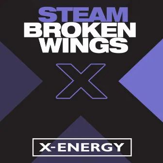 Broken Wings by Steam