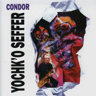 Condor by Yochk'o Seffer