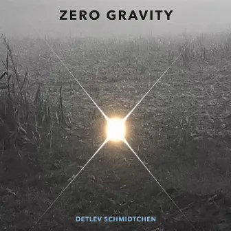 Zero Gravity by Unknown Artist