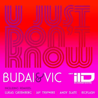 U Just Don't Know by Budai & Vic