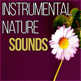 Instrumental Nature Sounds - Peaceful Music with Nature Sounds, Meditation and Stress Relief, Sound Healing Meditation Music Therapy for Relaxation, Chakra Healing, First Steps Hypnosis by Gentle Instrumental Music Paradise