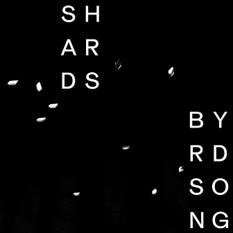 Byrd Song by Shards